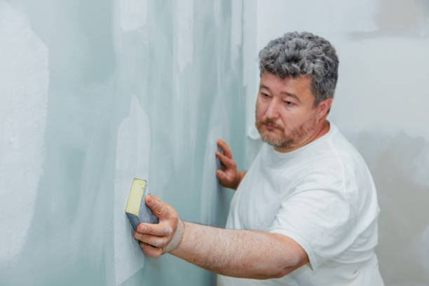 Best Mold Removal for HVAC Installations  in Broadway, NC